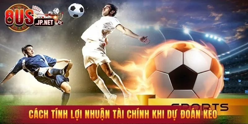 Cách tính lợi nhuận tài chính khi dự đoán kèo