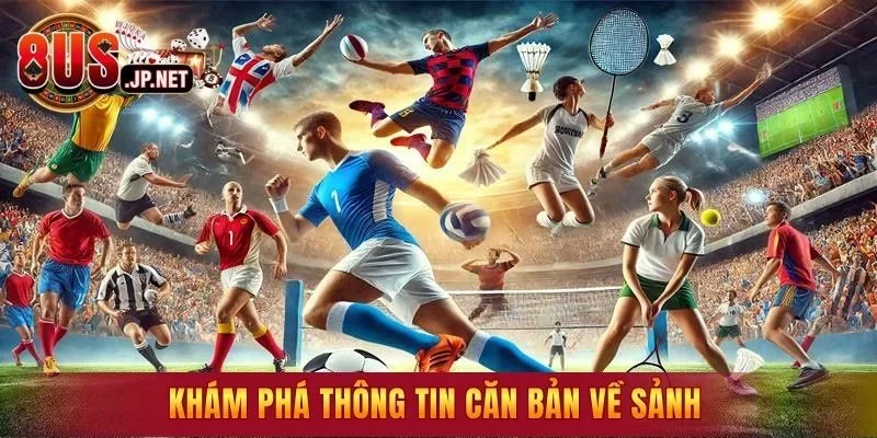 Khám phá thông tin căn bản về sảnh