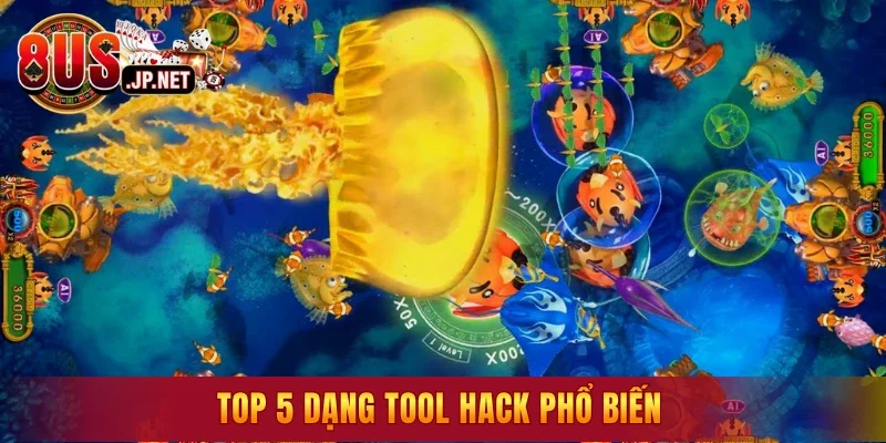 Top 5 dạng Tool Hack phổ biến